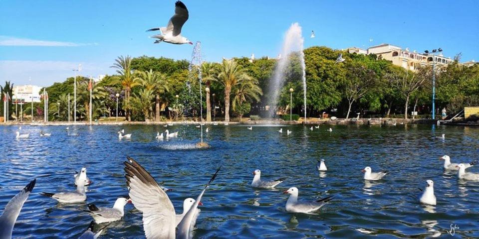 Torrevieja Experience Mar 2 Appartamento Esterno foto